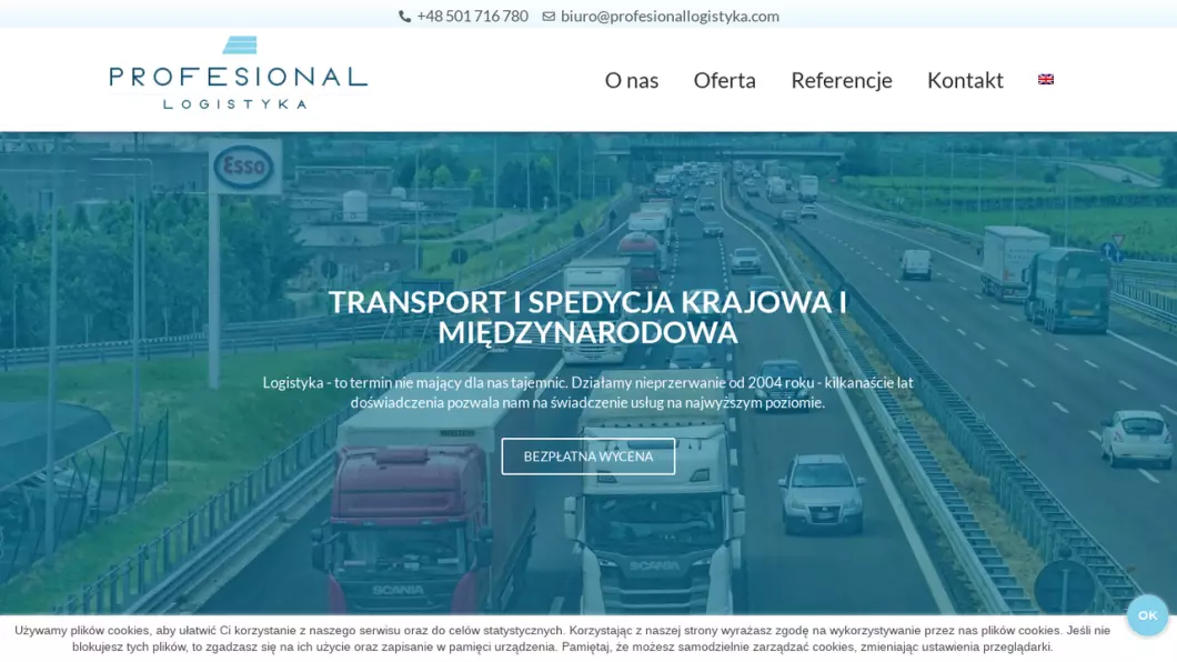 Profesional Logistyka - zrzut ekranu